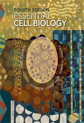 Alberts Essential Cell Biology 4e